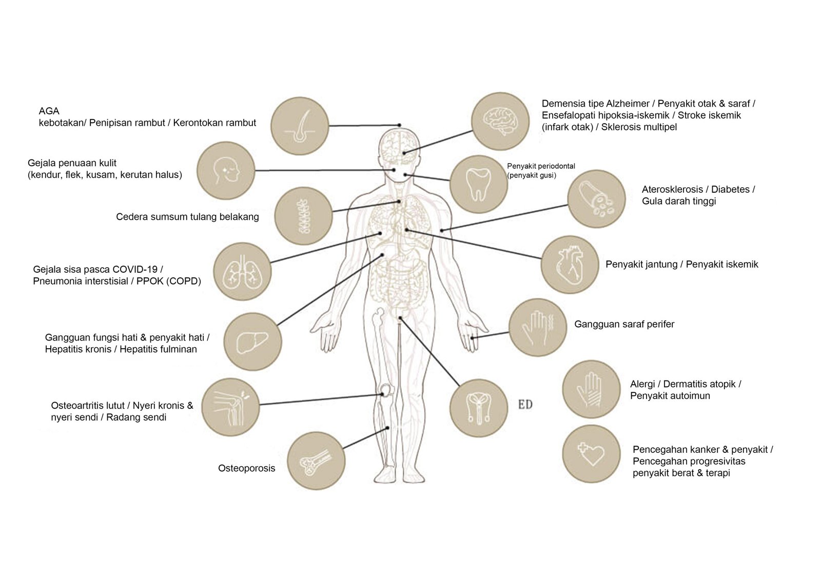 Ilustrasi Manfaat Terapi Regeneratif